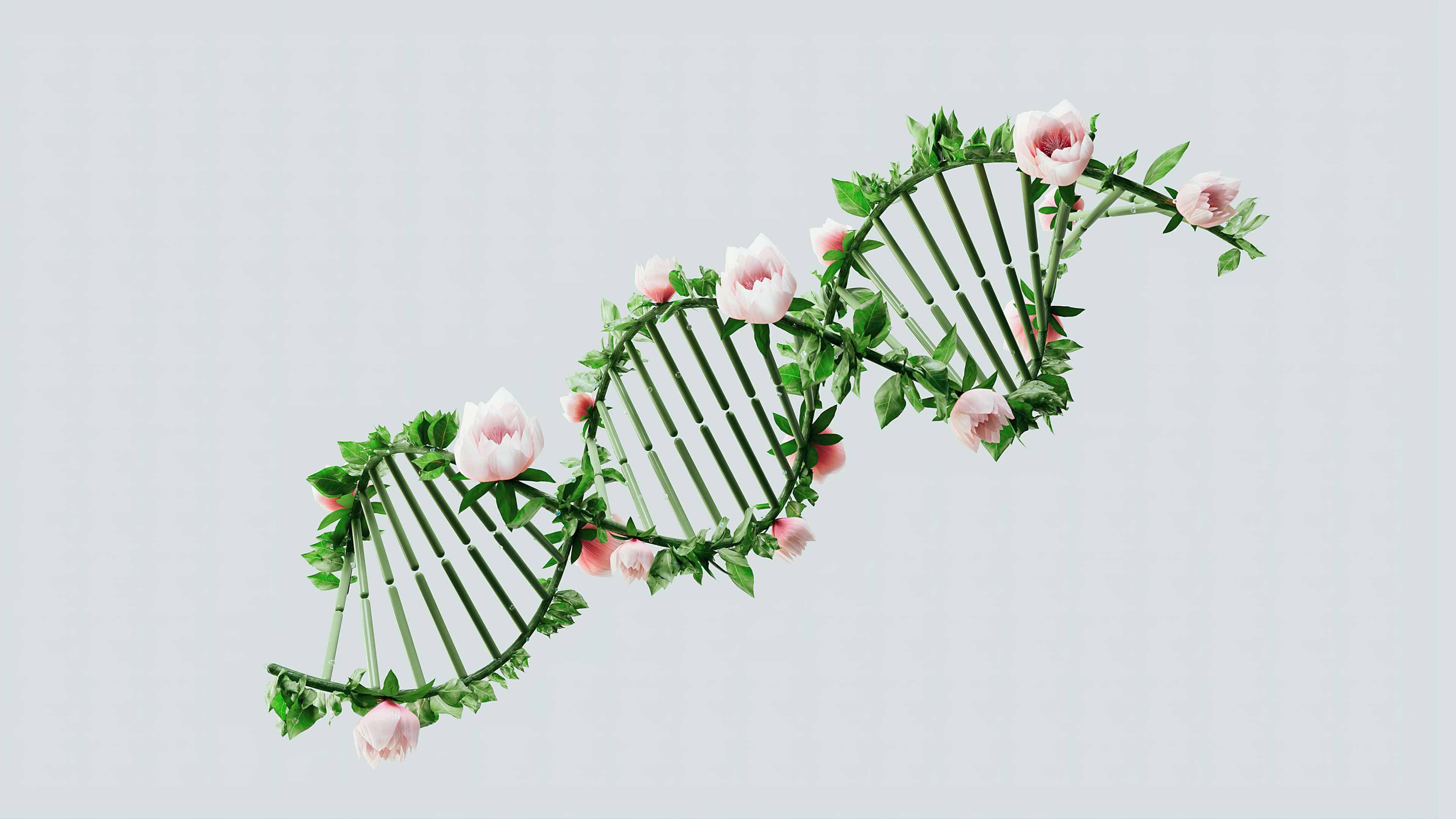 Your Longevity Genes: Understand and Optimize Your Genetics